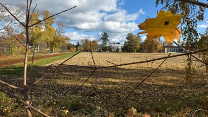 Bild: Gabi Schönberger
Die Planung läuft. Mehrfamilien-, Einfamilien- und Doppelhäuser werden einmal den ehemaligen Sportplatz der SV Detag zwischen Europa-Berufsschule (Bildmitte) und Königsbergerstraße in der Stockerhut säumen. Dem Bauausschuss lag nun der Vorentwurf zum Bebauungsplan vor.