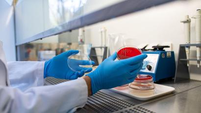 Symbolbild: Guido Kirchner/dpa
Erstmals ist ein Bürger oder eine Bürgerin aus dem Landkreis Tirschenreuth an einer Infektion mit dem Borna-Virus verstorben. Nach aktuellem Forschungsstand gilt die Feldspitzmaus als Überträger des Krankheitserregers.