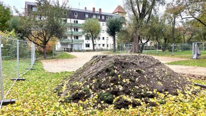 Bild: Gabi Schönberger
Für die Sanierung der Wohnhäuser Hinterm Zwinger 20 und 22 wird eine Baustellenzufahrt durch den Max-Reger-Park in Weiden eingerichtet.