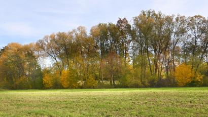Bild: gf
Unmittelbaar beim Traßlberger Wertstoffhofs (links im Bild) soll ein etwa 1.50 Meter hoher Damm gut 6000 m³ Wasser zurückhalten und die Ortschaft Traßlberg vor Überflutung bewahren.