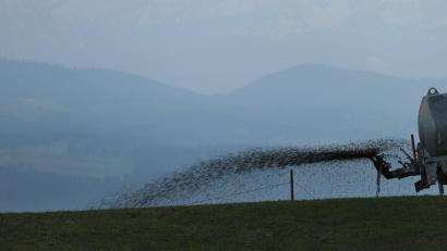 Symbolbild: Karl-Josef Hildenbrand/dpa
Ein Landwirt hat 400 Kubikmeter Mist unsachgemäß gelagert und damit Gewässer verunreinigt.