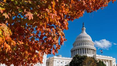 Bild: J. Scott Applewhite/AP/dpa
Seit mehr als einem Monat dauert der Shutdown in den USA an.