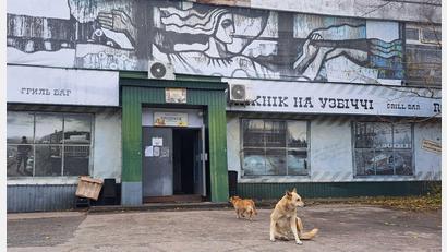 Bild: Andreas Stein/dpa
Tagelang berichteten internationale Medien über „blaue Hunde“ in Tschernobyl. Im radioaktiv belasteten Sperrgebiet bezeichnet man die Berichte als Unsinn.