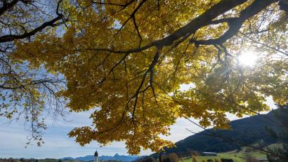 Bild: Stefan Puchner/dpa
Auf mildes Herbstwetter am Samstag folgte am Sonntag vielerorts reichlich Regen.