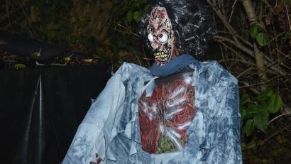 Bild: jr
Unzählige Skelette gab es zu sehen.