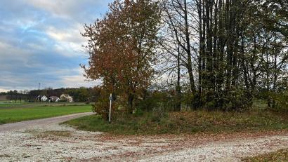 Bild: Stefanie Gradl
Im Stadtrat Vilseck waren Abwasser und Wasserversorgung ein Thema. Für eine notwendige Druckerhöhungsanlage muss ein Gebäude errichtet werden. Am dafür vorgesehenen Standort (Bild) müssen eventuell zwei Marterln vesetzt werden.