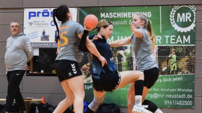 Bild: Ute Büttner
Das Hinspiel hat die HG Amberg (graue Trikots) in Weiden mit 29:38 verloren.