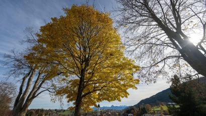 Bild: Stefan Puchner/dpa
In Bayern bringt das Wetter ordentlich Nebel und ein wenig Sonne mit. (Symbolbild)