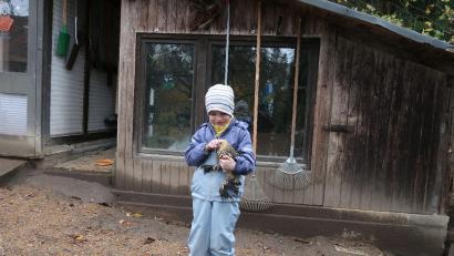 Bild: bsc
Der fünfjährige Ferdinand Tretter mit einem seiner Federfüßigen Zwerghühner: Zum ersten Mal darf der Nachwuchszüchter unter seinem eigenen Namen an einer Ausstellung teilnehmen.