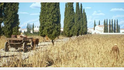 Bild: -/tiner-e, Artas Media, MINERVA/dpa
Vielbefahrene Straßen waren oft gepflastert, wie in der antiken Stadt Timgad in Algerien