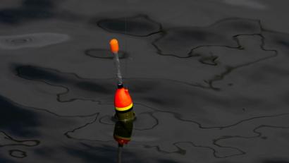 Bild: Stefan Sauer/dpa
Einen 34 Zentimeter großen lebenden Fisch fand die Polizei an der Angel des Jugendlichen. (Symbolbild)