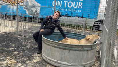 Bild: Stefanie Swann
Alexis Lacey-Krone arbeitet mit Löwen und Tigern.