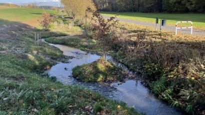Bild: Paulina Schmidt
Der Eichelbach in Kohlberg wurde in zwei Abschnitten renaturiert. Im ersten Teil schlängelt er sich nun entlang eines Fahrradwegs.