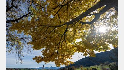 Bild: Stefan Puchner/dpa
Viel Sonne wird vor allem im Alpenvorland erwartet. (Symbolbild)