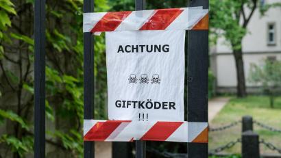 Bild: Jens Kalaene/dpa-Zentralbild/dpa
Die Polizei ermittelt nach dem Fund der Giftköder. (Symbolbild)