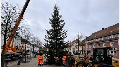 Bild: esc
Jetzt fehlen nur noch ein paar Lichter und ein bisschen Schnee, dann schaut der Christbaum gleich noch schöner aus.