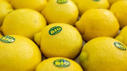 Bild: Daniel Karmann/dpa
Bei vielen Verbrauchern sind Bio-Lebensmittel beliebt. (Symbolbild)