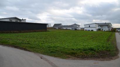 Bild: ak
Auf einem Grundstück, das unmittelbar an das Wohngebiet Hopfengarten anschließt, soll eine 20,6 mal 50,39 Meter große und rund 6 Meter hohe Halle entstehen.