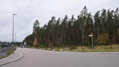 Bild: bö
Der Wald an der Mercedesstraße im Gewerbegebiet Schafhof muss noch weg, dann kann dann Logistikzentrum gebaut werden.