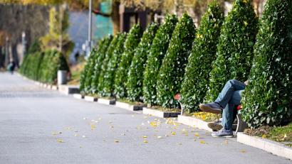 Bild: Armin Weigel/dpa
In Bayern soll es in den kommenden Tagen sonnig und mild werden.