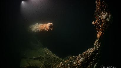 Bild: Dr. Steffen G. Scholz/ProjectXplore /dpa
Die Tauchgänge fanden nach Angaben des Teams in großer Tiefe und unter herausfordernden Bedingungen statt.