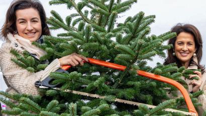 Bild: Pia Bayer/dpa
80 Prozent der vier Millionen in Bayern verkauften Christbäume werden im Freistaat angebaut. Die CSU-Politikerinnen Dorothee Bär und Michaela Kaniber (rechts) eröffneten die Saison.