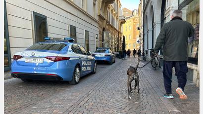 Bild: Christoph Sator/dpa
Südtirol verzichtet nun doch auf eine Art Hunde-Kurtaxe. (Archivbild)