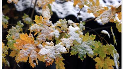 Bild: Karl-Josef Hildenbrand/dpa
Der Winter löst den Herbst ab. (Archivbild)
