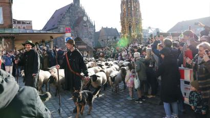 Bild: Daniel Löb/dpa
Eine Herde mit 600 Schafen ist in Nürnberg mitten durch die Stadt zu ihren Winterweiden gezogen.