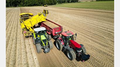 Bild: Jan Woitas/dpa
Die Kartoffelbauern haben in diesem Jahr eine sehr gute Ernte eingefahren - es sind sogar zu viele Kartoffeln, die Preise sind relativ schlecht. (Archivfoto)