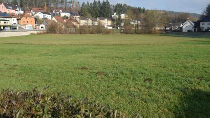 Bild: bnr
Die Neugestaltung der Schönerwiese beginnt mit den Freianlagen. Die Gestaltung der "Alten Mühle" oder eines neuen Rathauses folgen zu einem späteren Zeitpunkt.