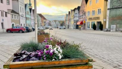 Bild: Gabi Schönberger
Schon jetzt ist das aktuell wenige Grün auf dem Stadtplatz Neustadt in mobilen Pflanztrögen gepflanzt. Geht es nach dem Wunsch der Stadträte, sollen künftig auf ähnliche Art mobile Bäume für mehr Grün und besseres Klima im Zentrum sorgen.