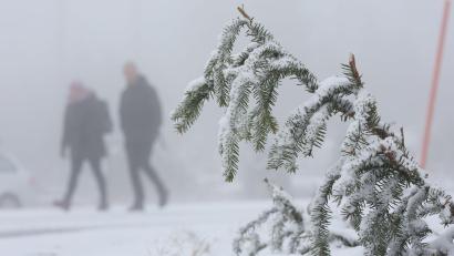 Bild: Matthias Bein/dpa
In den Mittelgebirgen wie dem Harz wird am Mittwoch Neuschnee erwartet.