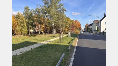 Bild: bk
Eine Aufwertung erfuhr die Sägstraße durch das Setzen eines Einzeilers und die Erneuerung der Deckschicht.