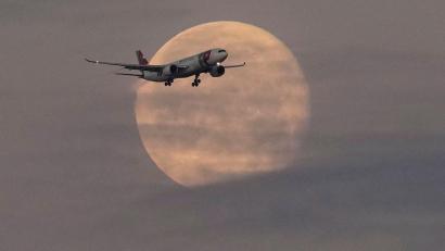 Bild: Armando Franca/AP/dpa
Die Lufthansa will bei der portugiesischen TAP einsteigen.