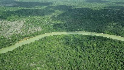 Bild: Larissa Schwedes/dpa
Deutschland gibt viel Geld für einen neuen Tropenwaldfonds.