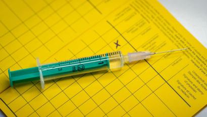 Bild: Friso Gentsch/dpa
Eine Impfung sorgt dafür, dass der Körper weiß, was im Ernstfall zu tun ist. (Symbolbild)