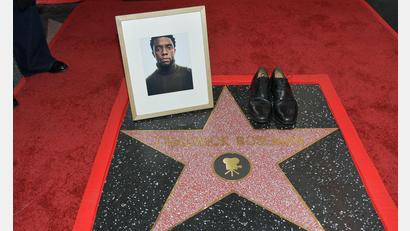 Bild: Richard Shotwell/Invision/AP/dpa
Im August 2020 starb der „Black Panther“-Star an Krebs.