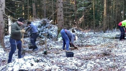 Bild: no
Im Rahmen der Waldbegehung und Pflanzung waren die Gemeinderäte auch körperlich gefordert.
