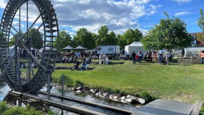 Archivbild: Susanne Schwab
Die Maiblüte soll 2026 größer und schöner werden.