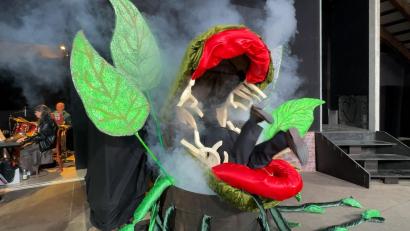 Bild: Heike Unger
Star auf der Buchbergbühne ist heuer "Audrey II", die fleischfressende Pflanze: Das Monster Marke Eigenbau kann dank ausgefeilter Technik sprechen und sogar fressen.