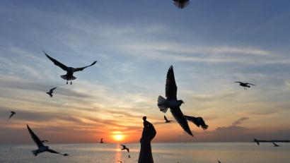 Bild: Rachen Sageamsak/XinHua/dpa
Sonnige Reiseziele sind laut Dertour besonders gefragt. (Archivbild)