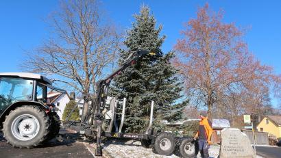 Bild: bsc
Den Christbaum in Frauenreuth haben Mitglieder des Schützenvereins Frauenreuth bereits am Wochenende auf dem Dorfanger errichtet. Am kommenden Samstag können von Besuchern zugunsten einer Spendenaktion Christbaumkugeln angebracht werden.