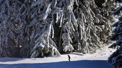 Bild: Karl-Josef Hildenbrand/dpa
Die niedrigen Temperaturen samt Schneefall im Allgäu ließen zuletzt einen frühen Start in die Skisaison zu. (Archivbild)