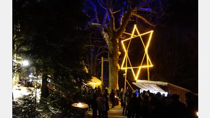 Archivbild: Ludwig Höcherl
Advent im Wald am Eulenberg