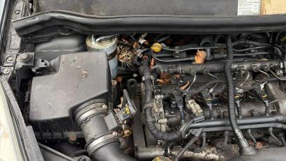 Bild: --/Berufsfeuerwehr Augsburg/dpa
In höchster Not fanden Feuerwehrler eine eingeklemmte Katze in einem Auto vor.