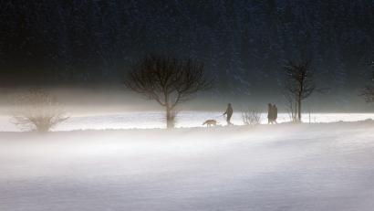 Bild: Karl-Josef Hildenbrand/dpa
Nebel und Schnee wird vom Wetterdienst vorhergesagt.