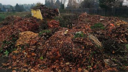Symbolbild: Reinhard Kreuzer
Das Thema Grüngut spielte bei der Bürgerversammlung eine große Rolle.