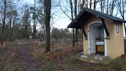 Bild: bö
Der Marktgemeinderat stimmte der Wiederaufforstung am Tummelplatz zur. Die Heimkehrerkapelle dort war zu Beginn der 1950er-Jahre erbaut worden.