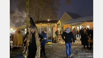 Bild: Julia Benkhardt [jbe] 
Mit ihren fantasievollen Masken und Kostümen sorgten die Trausnitzer Burgdeifln für Aufsehen.